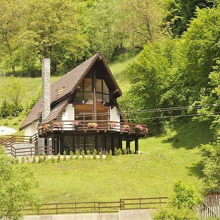 Villa Vila Negras Trăisteni Zimmer foto